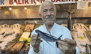 marmarada-goruldu-ucan-balik-nedir-ucan-balik-yenir-mi-ucan-balik-ziyanli-mi-zIOsL1fa.jpg