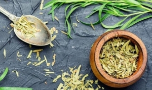 masterchefte-merak-konusu-oldu-tarhun-nedir-yararlari-nelerdir-tarhunla-neler-yapilir-QHDYaOaY.jpg