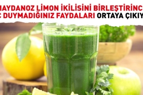 maydanoz-limon-ikilisini-birlestirince-hic-duymadiginiz-yararlari-ortaya-cikiyor-V8KQDOBy.jpg