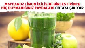 maydanoz-limon-ikilisini-birlestirince-hic-duymadiginiz-yararlari-ortaya-cikiyor-V8KQDOBy.jpg