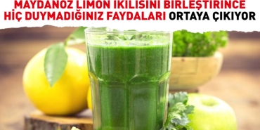 maydanoz-limon-ikilisini-birlestirince-hic-duymadiginiz-yararlari-ortaya-cikiyor-V8KQDOBy.jpg