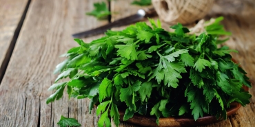 maydanozun-sihhate-en-degerli-6-yarari-TKaZCdVv.jpg