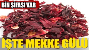 mekke-ciceginin-faydalari-nelerdir-rlO8c1Wd.jpg