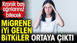 migrene-uygun-gelen-bitkiler-ortaya-cikti-kronik-bas-agrilariniz-bitecek-xY6q4h63.jpg