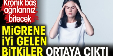 migrene-uygun-gelen-bitkiler-ortaya-cikti-kronik-bas-agrilariniz-bitecek-xY6q4h63.jpg