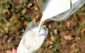 mirac-kandilinde-sut-neden-icilir-fazileti-nedir-mirac-gecesi-sute-okunacak-dualar-neler-ve-TPsUxY3F.jpg
