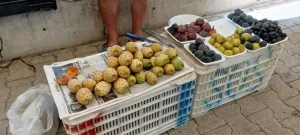 misir-inciri-tanesi-10-tlden-satiliyor-uEqOE6QO.jpg