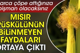 misir-puskulunun-bilinmeyen-yararlari-ortaya-cikti-yillarca-cope-attiginiza-pisman-olacaksiniz-xg1hhVjD.jpg