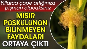 misir-puskulunun-bilinmeyen-yararlari-ortaya-cikti-yillarca-cope-attiginiza-pisman-olacaksiniz-xg1hhVjD.jpg