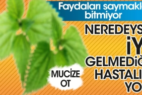 mucize-otun-yararlari-saymakla-bitmiyor-neredeyse-uygun-gelmedigi-hastalik-yok-Sn1caLOv.jpg