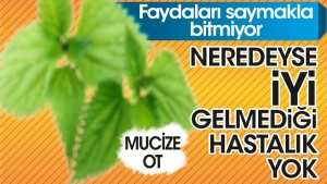 mucize-otun-yararlari-saymakla-bitmiyor-neredeyse-uygun-gelmedigi-hastalik-yok-Sn1caLOv.jpg
