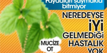 mucize-otun-yararlari-saymakla-bitmiyor-neredeyse-uygun-gelmedigi-hastalik-yok-Sn1caLOv.jpg