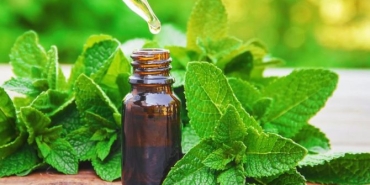 nane-yaginin-yararlari-nelerdir-nane-yagi-neye-guzel-geliyor-agdWzXM6.jpg