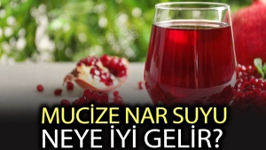 nar-suyu-yararlari-neler-nar-suyu-neye-duzgun-gelir-dpYyG8LB.jpg