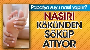 nasiri-kokunden-sokup-atiyor-papatya-suyu-nasil-yapilir-VKvvfWJa.jpg