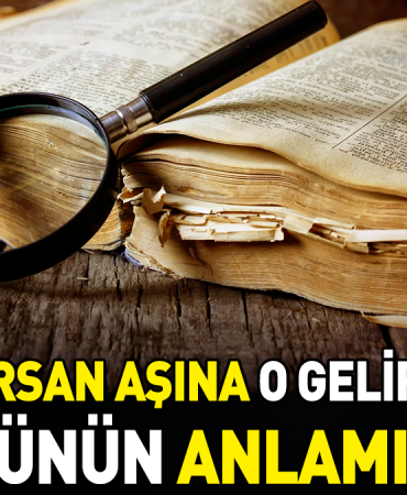 ne-dograrsan-asina-o-gelir-kasigina-atasozunun-manasi-nedir-EYqq4WU4.jpg