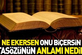 ne-ekersen-onu-bicersin-atasozunun-manasi-nedir-nLcGpBlC.jpg