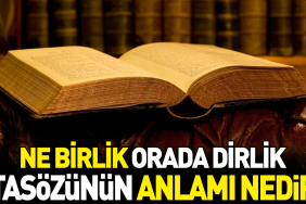 nerede-birlik-orada-dirlik-atasozunun-manasi-nedir-ESBJ3DPh.jpg