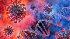 nipah-virusu-nedir-nasil-bulasir-belirtileri-neler-5ptrRUKs.jpg