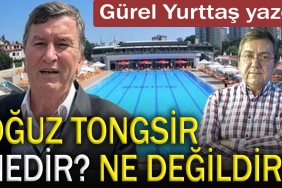 oguz-tongsir-nedir-ne-degildir-bj3KmFVg.jpg