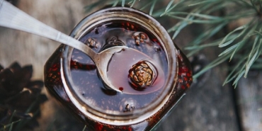 oksurugu-sip-diye-kesen-dogal-mucize-her-gun-1-tatli-kasigi-kozalak-surubu-icmenin-hhKO9yyV.jpg