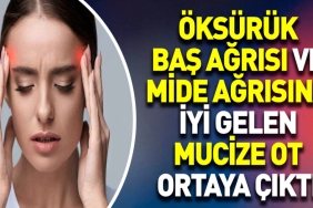 oksuruk-bas-agrisi-ve-mide-agrisina-guzel-gelen-mucize-ot-ortaya-cikti-2YbPqUQ7.jpg