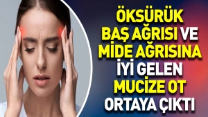 oksuruk-bas-agrisi-ve-mide-agrisina-guzel-gelen-mucize-ot-ortaya-cikti-2YbPqUQ7.jpg