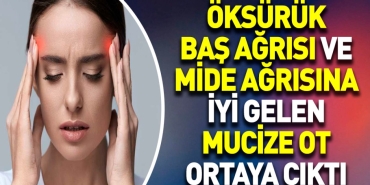 oksuruk-bas-agrisi-ve-mide-agrisina-guzel-gelen-mucize-ot-ortaya-cikti-2YbPqUQ7.jpg