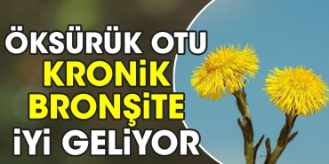 oksuruk-otu-kronik-bronsite-guzel-geliyor-WutQycYl.jpg