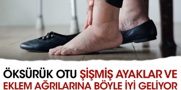 oksuruk-otu-sismis-ayaklar-ve-eklem-agrilarina-bu-turlu-uygun-geliyor-lzveLvMr.jpg