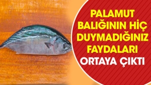 palamut-baliginin-hic-duymadiginin-yararlari-ortaya-cikti-gozumuzun-onundeki-gizli-cevher-xAiPYuNz.jpg