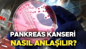 pankreas-kanseri-nedir-belirtileri-nelerdir-survivor-hasanin-hastaligi-pankreas-kanseri-nasil-anlasilir-neden-olur-YiRIy7VG.jpg
