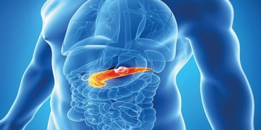 pankreas-kanseri-nedir-jgWyZm2B.jpg