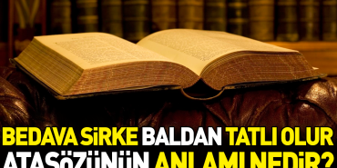 parasiz-sirke-baldan-tatli-olur-atasozunun-manasi-nedir-5Mse46vB.jpg