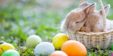 paskalya-ne-vakit-kutlanacak-paskalya-nedir-paskalya-tarihi-O3L18GvR.jpg