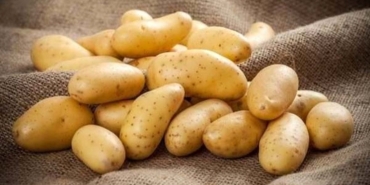 patatesin-sihhate-7-yarari-VyBR84ML.jpg