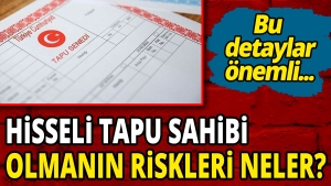 payli-tapu-ne-demek-riskleri-neler-payli-tapu-satisi-nasil-yapilir-r9JAO7TE.jpg