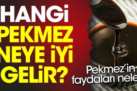 pekmezin-yararlari-neler-hangi-pekmez-neye-yeterli-gelir-WnGkHHAB.jpg