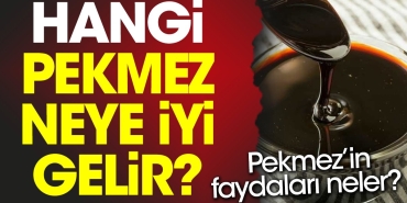 pekmezin-yararlari-neler-hangi-pekmez-neye-yeterli-gelir-WnGkHHAB.jpg