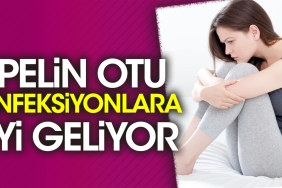 pelin-otu-enfeksiyonlara-l-geliyor-DGe2pkAk.jpg