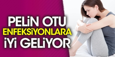 pelin-otu-enfeksiyonlara-l-geliyor-DGe2pkAk.jpg