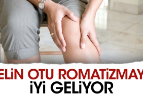 pelin-otu-romatizmaya-l-geliyor-QbOhyCE9.jpg
