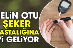 pelin-otu-seker-hastaligina-l-geliyor-xHP4OBiI.jpg