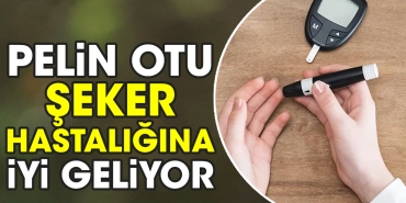 pelin-otu-seker-hastaligina-l-geliyor-xHP4OBiI.jpg