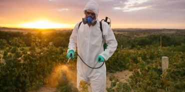 pestisit-nedir-ziyanlari-nelerdir-son-gunlerin-en-cok-konusulan-bahisleri-ortasinda-yer-aliyor-PaArUt5r.jpg