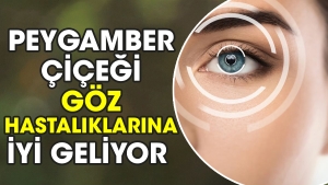 peygamber-cicegi-goz-hastaliklarina-uygun-geliyor-K5HN6kaf.jpg