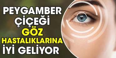 peygamber-cicegi-goz-hastaliklarina-uygun-geliyor-K5HN6kaf.jpg