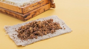 propolisin-yararlari-nelerdir-propolis-neye-l-gelir-XZeJ8RVV.jpg