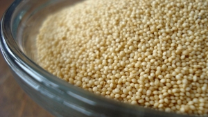 protein-bombasi-amaranth-tohumunun-mucizevi-yararlari-XZJ78WLC.jpg
