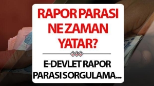rapor-parasi-ne-vakit-yatar-ve-nereden-nasil-sorgulanir-e-devlet-rapor-parasi-sorgulama-ekrani-kMjZylW9.jpg